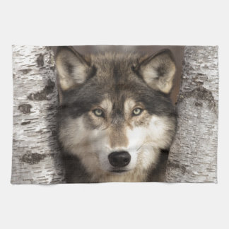 Timberwolf durch Jim Zuckerman Handtuch