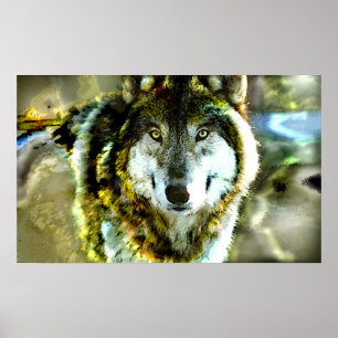 Timberwolf-Plakat von JungleWalk.com Poster