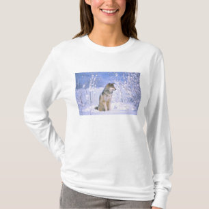 Timberwolf sitzt im Schnee, Canis lupus, T-Shirt
