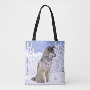 Timberwolf sitzt im Schnee, Canis lupus Tasche