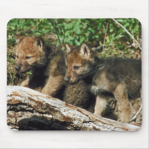 Timberwolfjunge Mousepad