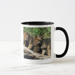 Timberwolfjunge Tasse