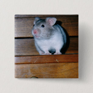 Timbit der Hamster-Taste Button