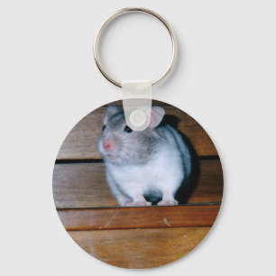 Timbit des Hamster-Schlüsselanhängers Schlüsselanhänger