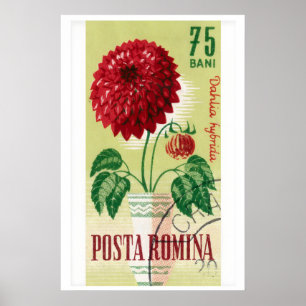 Timbre-poste roumain Impression Fleur de Dahlia ro