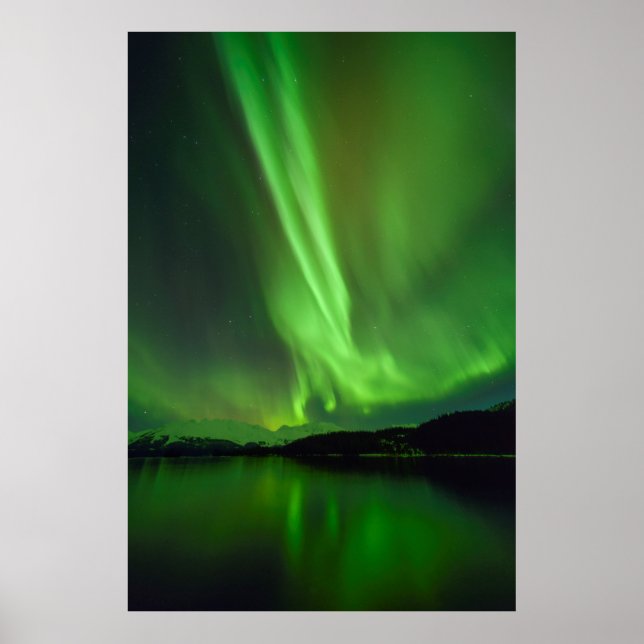 Timeless Aurora Poster (Vorne)