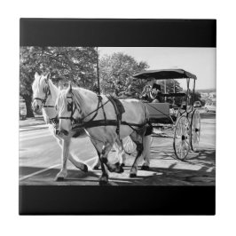 Timeless Journey Fliese