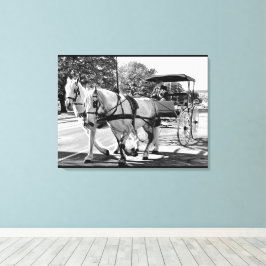 Timeless Journey Leinwanddruck