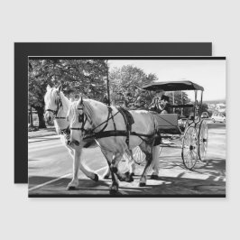 Timeless Journey Magnetic Card Magnetkarte