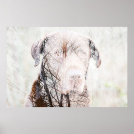 Timeless Journey Poster