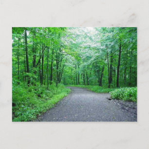 Timms Hill Park, Wisconsin Nature Postcard Postkarte