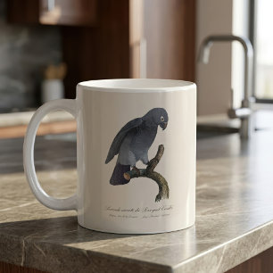 Timneh-Graupapagei, Psittacus Timneh Kaffeetasse