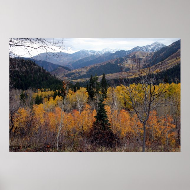 Timpanogos, Utah Poster (Vorne)