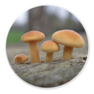 Timy Toadstools Macro Keramik Knob Keramikknauf