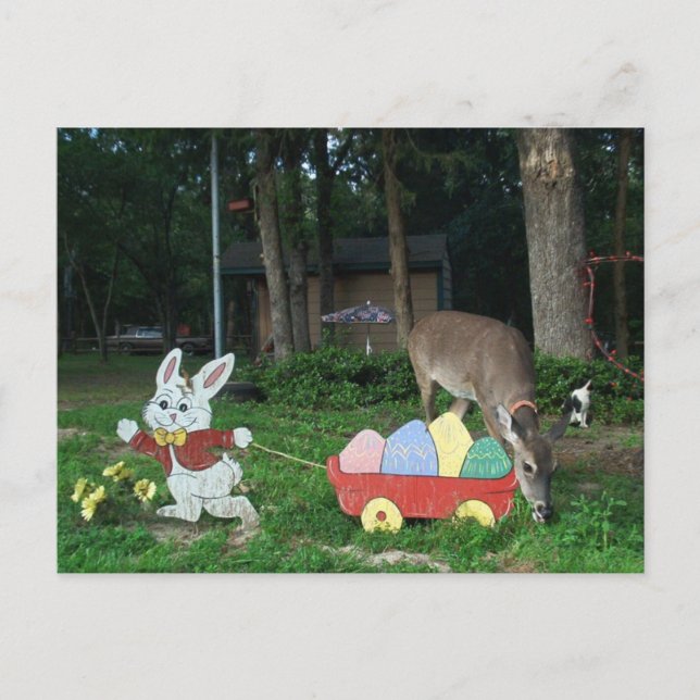 TINKERBELL #6 CARTE POSTALE AIDANT LE BUNNY DE PÂQ (Devant)