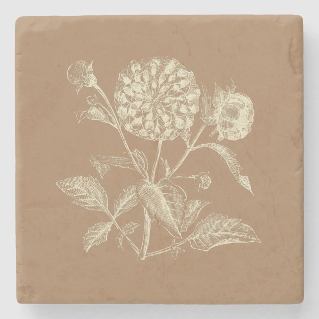 Tinte Vintag Zinnia Illustration Brown Steinuntersetzer (Vorderseite)