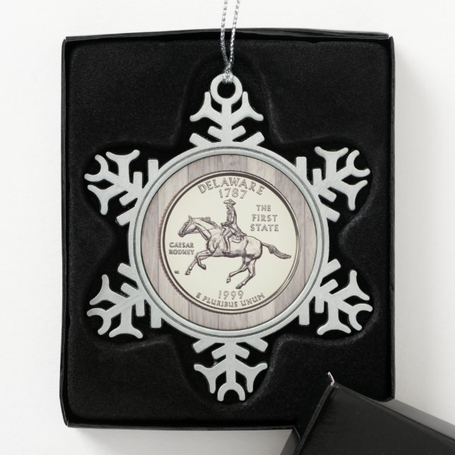 Tinted Delaware Staat Quarter Schneeflocken Zinn-Ornament (Box)