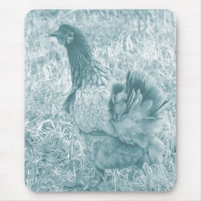 Tinted Hen Mousepad (Vorne)