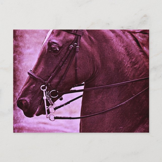 Tinted Saddlebred Postkarte (Vorderseite)