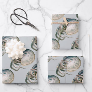 Tintenfisch Argonaut, Vintage Meeresleben Tiere Geschenkpapier Set