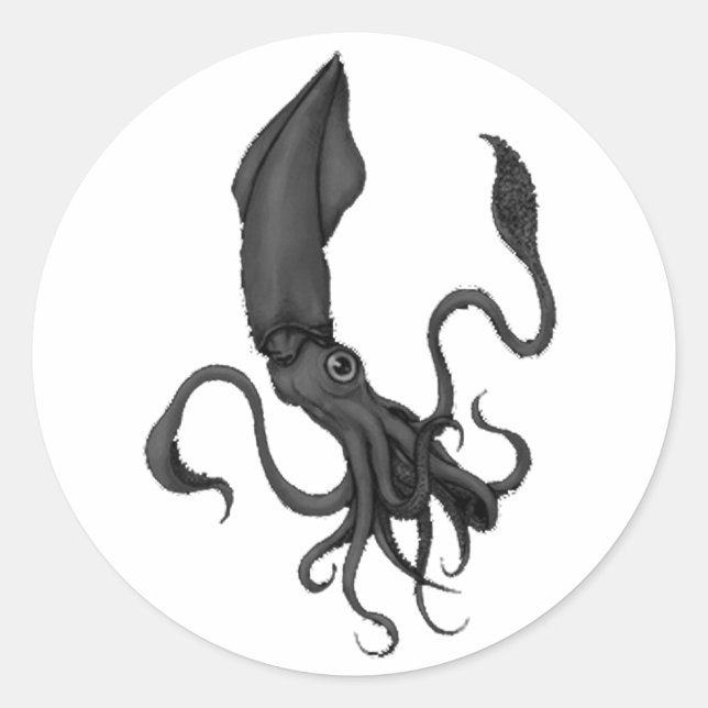 Tintenfisch-Aufkleber Runder Aufkleber (Vorderseite)