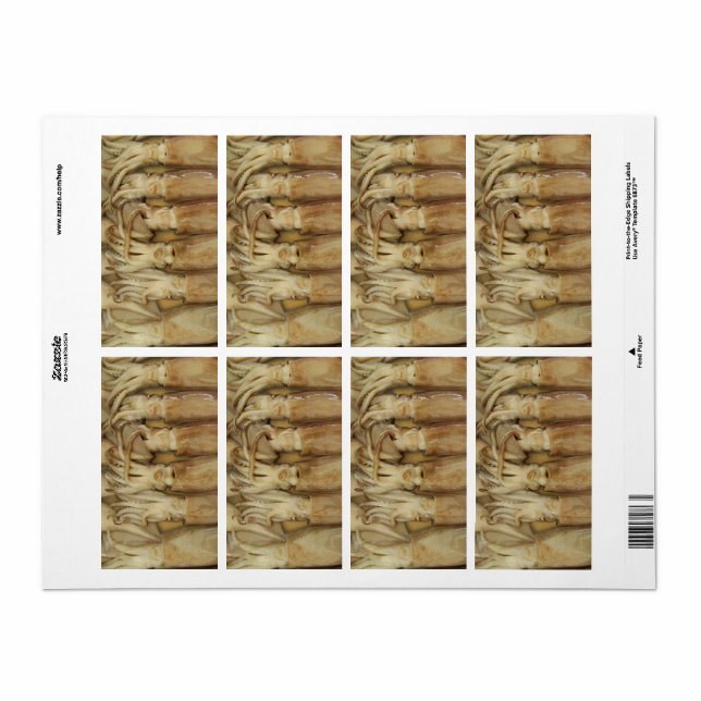 Tintenfisch - Calamari (Vorne)