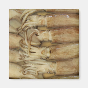 Tintenfisch - Calamari Magnet