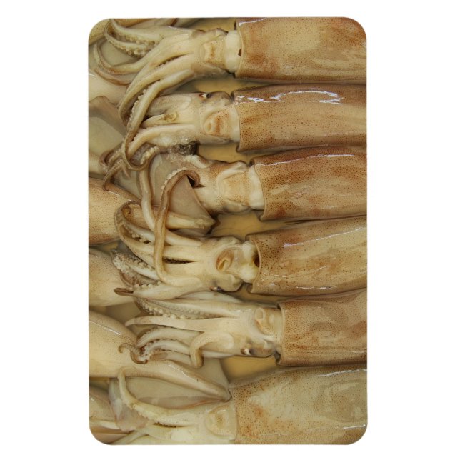 Tintenfisch - Calamari Magnet (Vertikal)
