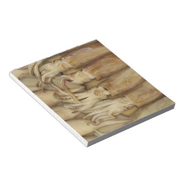 Tintenfisch - Calamari Notizblock (angewinkelt)