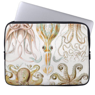 Tintenfisch, Gamochonia von Ernst Haeckel Laptopschutzhülle