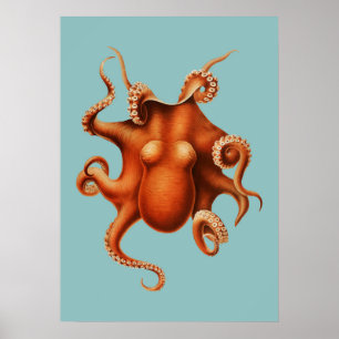 Tintenfisch-Illustration Poster