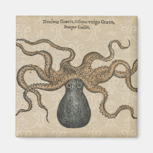 Tintenfisch Kraken Antik Küsten Meeresfauna Magnet