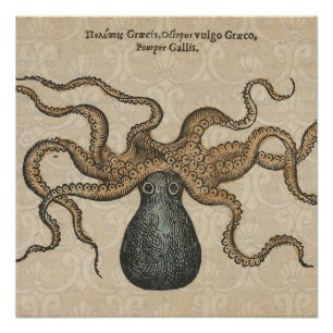 Tintenfisch Kraken Antik Küsten Meeresfauna Poster