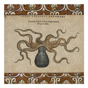 Tintenfisch Kraken Antik Küsten Meeresfauna Poster