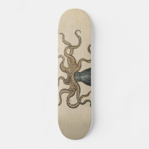 Tintenfisch Kraken Antik Küsten Meeresfauna Skateboard