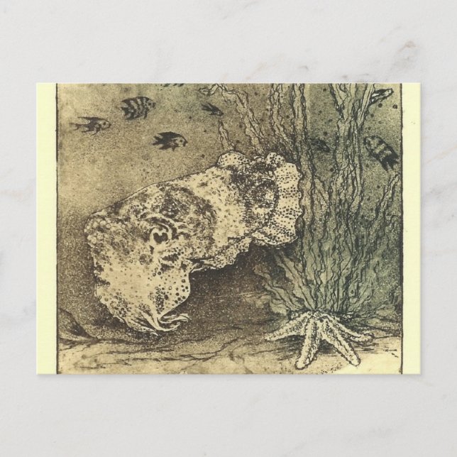 Tintenfisch Postkarte (Vorderseite)