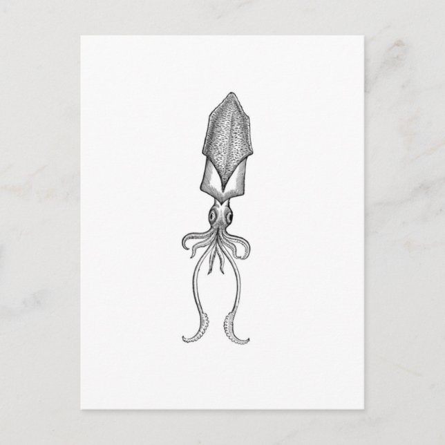 Tintenfisch Postkarte (Vorderseite)