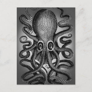 Tintenfisch Postkarte