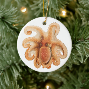 Tintenfisch Salutii, Vintage Meeresaquatiere Keramik Ornament