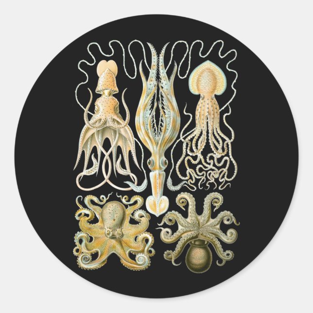 Tintenfisch und Kraken Runder Aufkleber (Vorderseite)