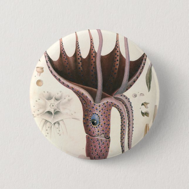 Tintenfisch, Vintage Meerestiere Button (Vorderseite)