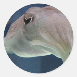 Tintenfischaufkleber Runder Aufkleber