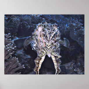 Tintenfische Tentacles Poster