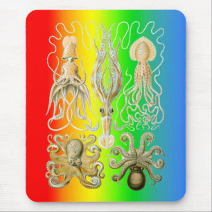 Tintenfische und Octopods Mousepad