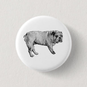 Tiny Carol Bulldog Button