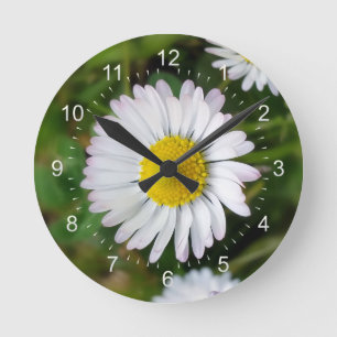 Tiny daisies runde wanduhr