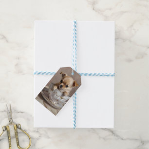 Tiny Delight: Chihuahua-Welpe in einem Teacup, Geschenkanhänger