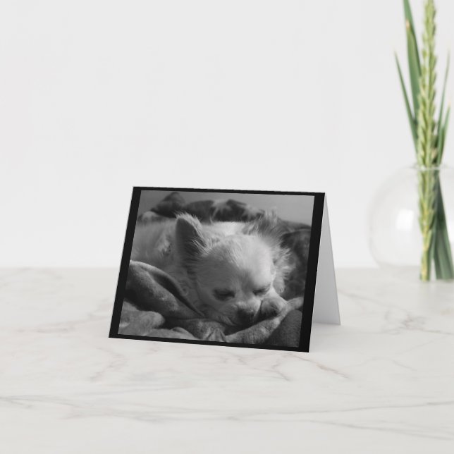 Tiny Dreamer - leere Notenkarte Karte (Vorderseite)