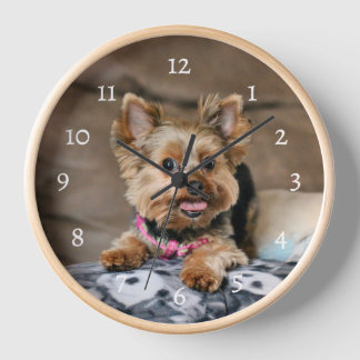 Tiny Dynamo Uhr