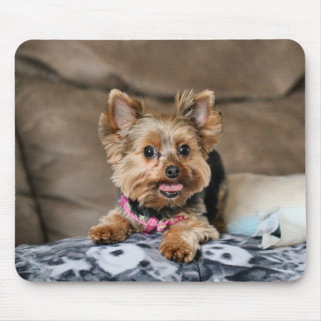 Tiny Dynao Mousepad (Vorne)